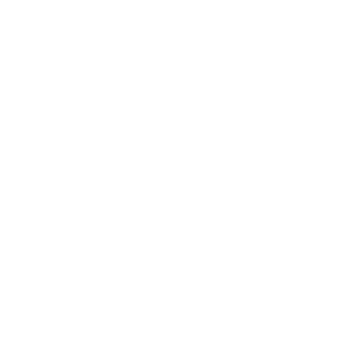 light logo